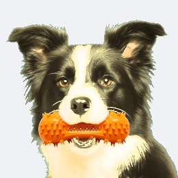 Un jouet pour votre chien et un coup de pouce à woufipedia