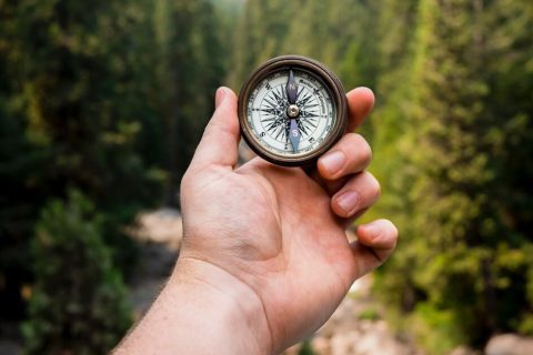 Mon chien indique le Nord