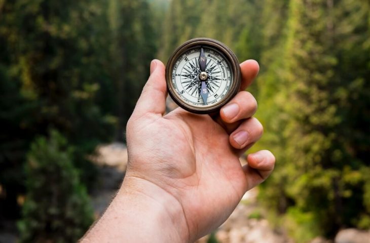 Mon chien indique le Nord