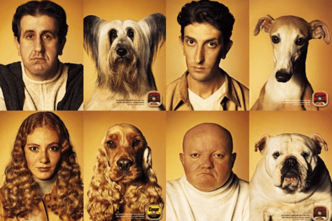 Tel chien tel maître !