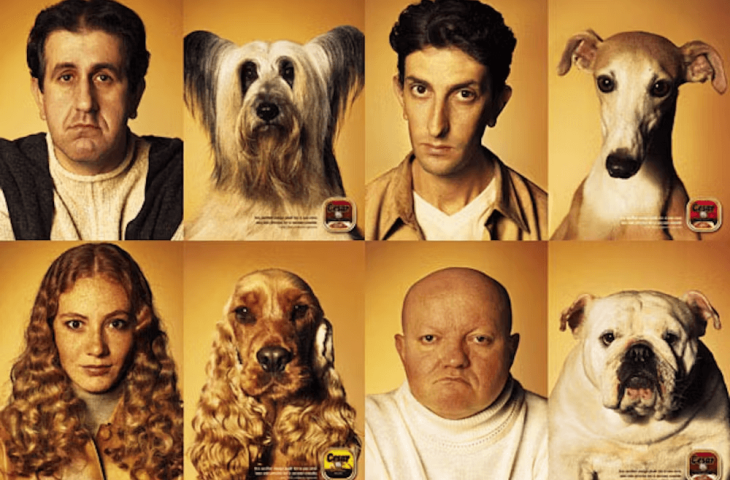 Tel chien tel maître !