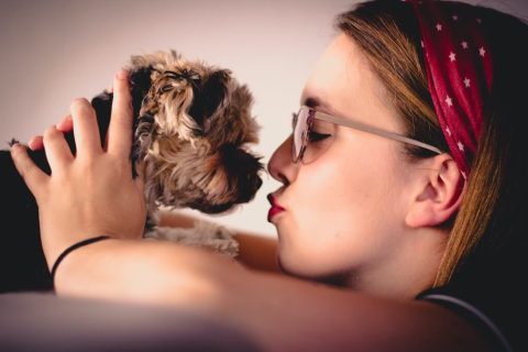Comment bien démarrer avec son chien ?