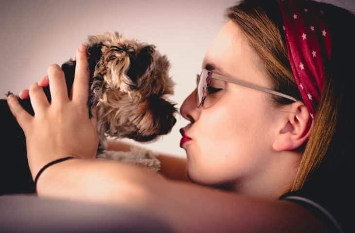 Comment bien démarrer avec son chien ?