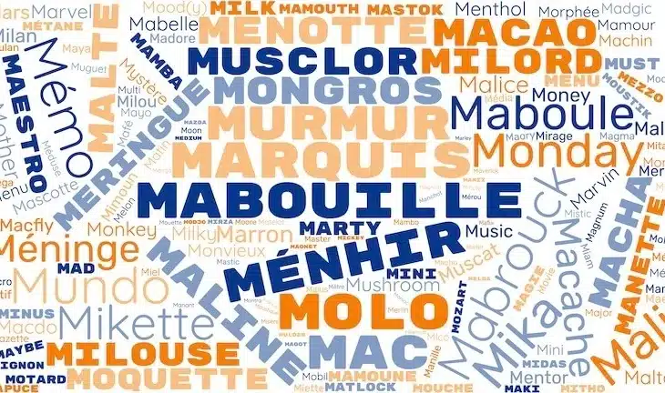 Nom de chien en M : liste complète pour mâle et femelle