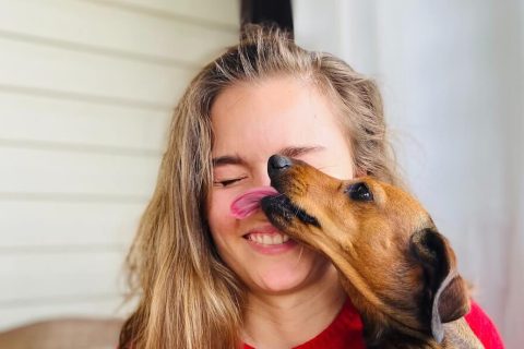 Pourquoi votre chien vous lèche ?