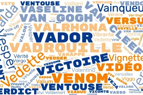 Nom de chien en V pour mâle et femelle : mes meilleures idées