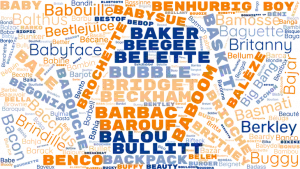 Choisir un nom de chien en B pour mâle ou pour femelle