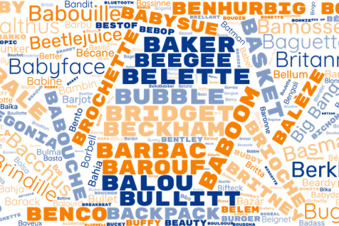 Nom de chien en B : des idées originales pour mâle et femelle