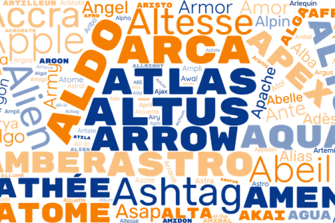 Nom de chien en A pour mâle ou femelle : mes meilleures idées