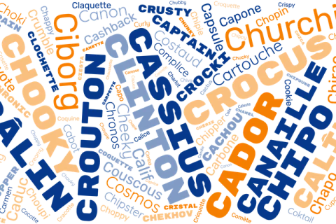 Nom de chien en C : une liste complète pour mâle et femelle