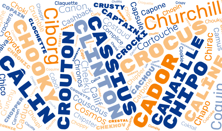 Nom de chien en C : une liste complète pour mâle et femelle