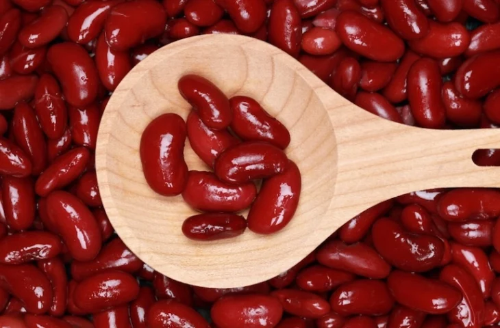 Peut-on donner des haricots rouges à son chien ?