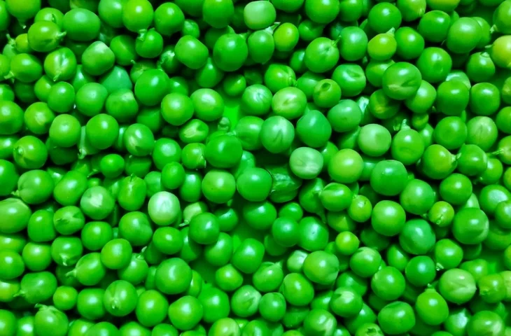 Peut-on donner des petits pois à un chien ?