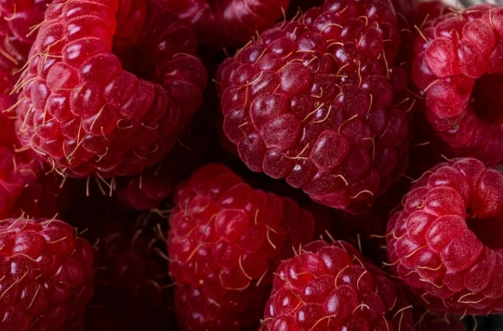 Framboises pour chien
